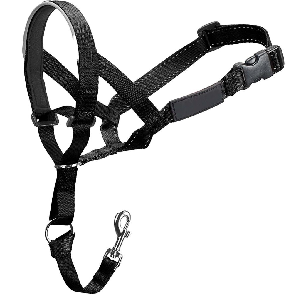 Halter lead that fits around the dog's muzzle to maintain control of the head.
