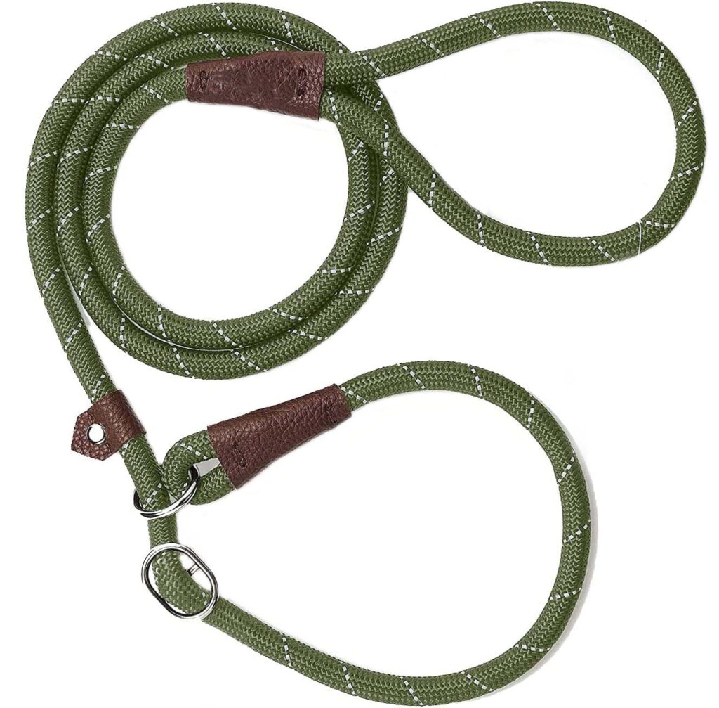 Slip Lead leash.