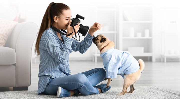 Teenage girl taking photo of cute pug dog at home