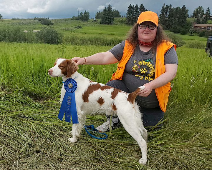 Patti and Bonhomme - qualifying run during a Field Dog Test, Torrington, Alberta.