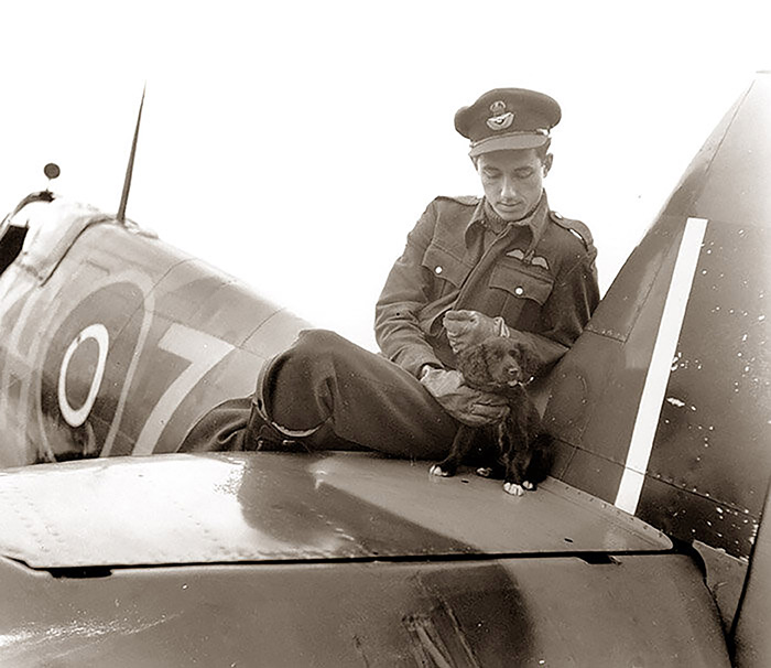 The look of gentleness on the young pilot’s face tells us how much comfort these dogs were capable of giving these stressed young men.