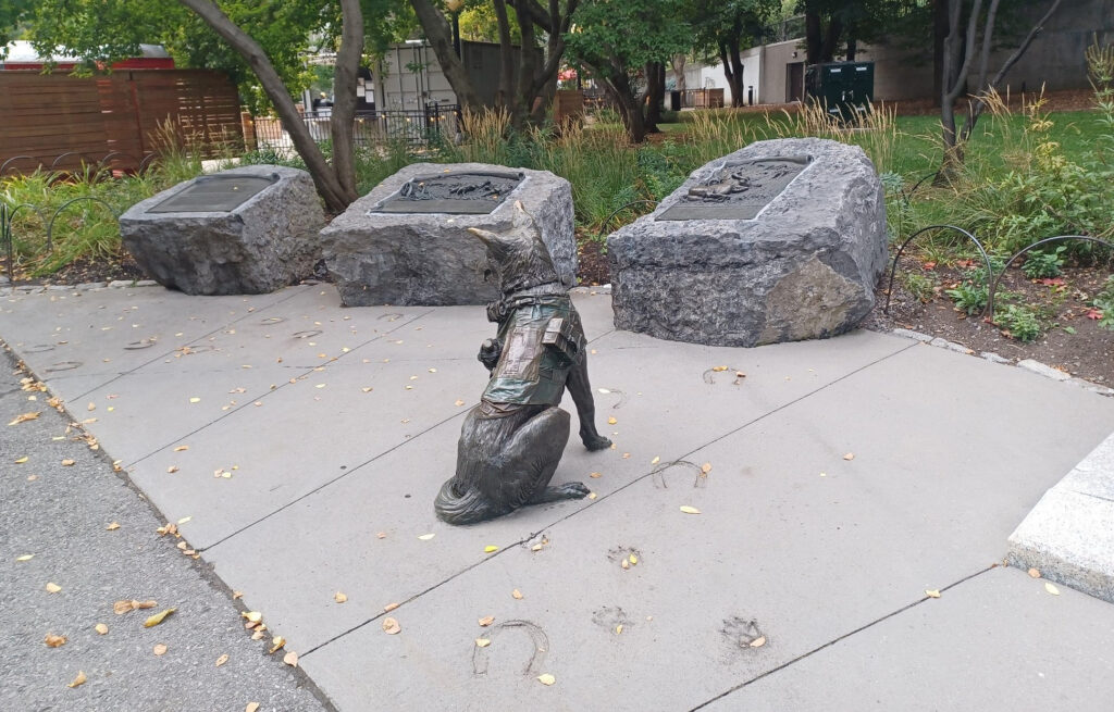 Animals in War Dedication Bronze, life-sized statue of a medical service dog. Dogs: used as messengers, medical assistants, bomb detectors, and search and rescue workers.